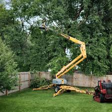 Best Lawn Drainage Solutions  in Green Village, NJ