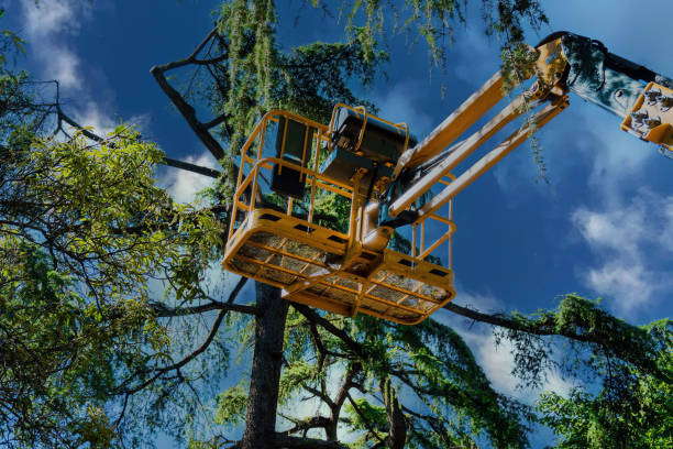 Best Commercial Tree Services  in Green Village, NJ
