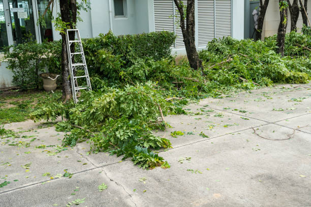 Best Firewood Processing and Delivery  in Green Village, NJ