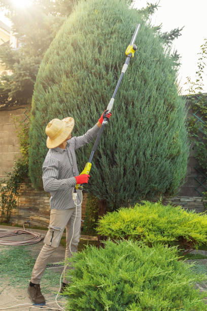 Best Tree Trimming and Pruning  in Green Village, NJ